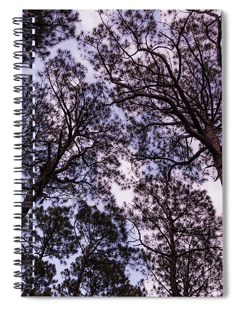 Unique Spiral Notebook featuring the photograph Arbor Art by Gary Migues
