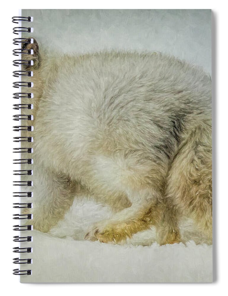 Fox Spiral Notebook featuring the photograph Arctic Fox Portrait by Teresa Wilson