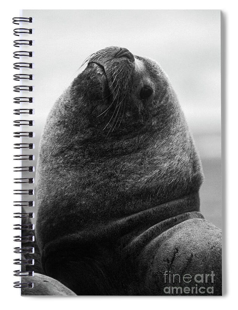 Male Spiral Notebook featuring the photograph Argentina_81-9 by Craig Lovell