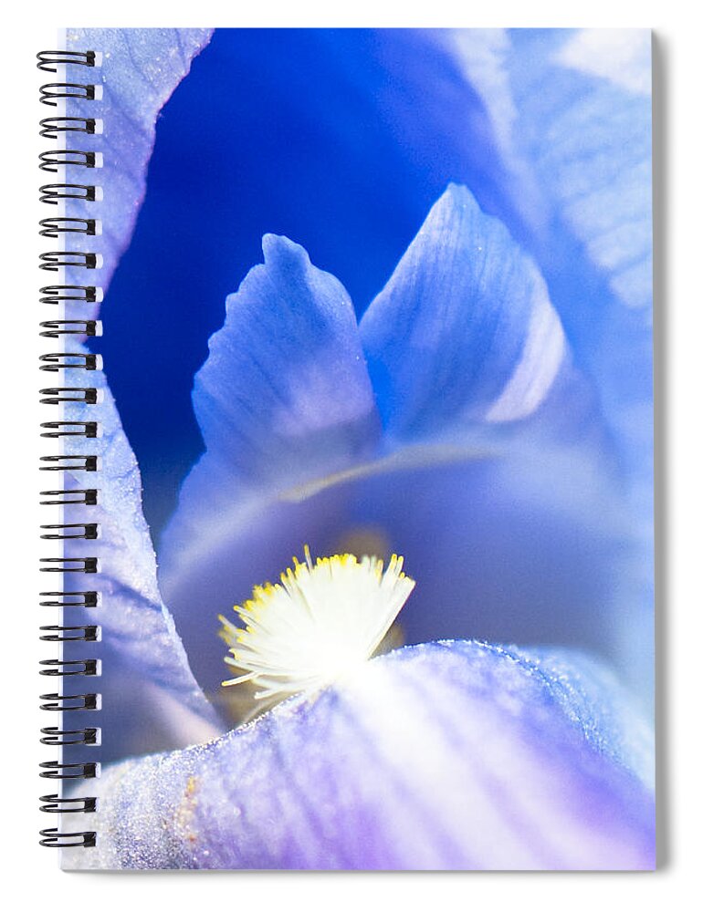 Photography Spiral Notebook featuring the photograph Aria by Steven Natanson