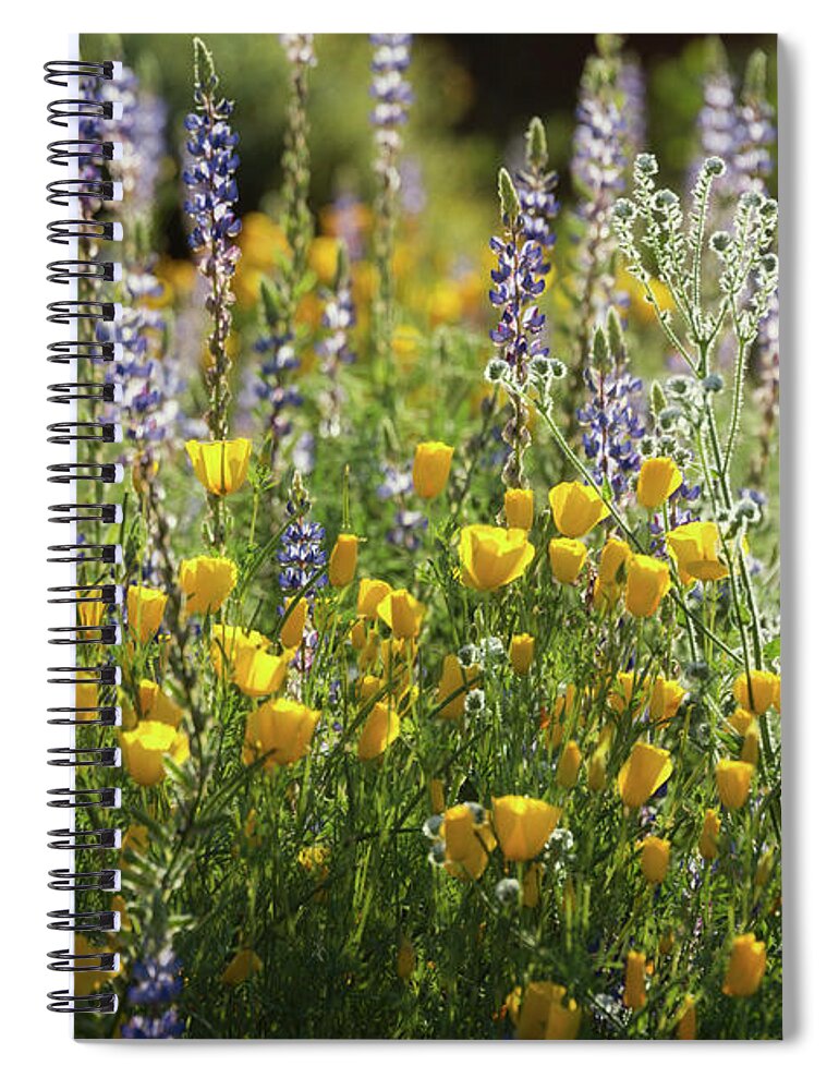 Poppies Spiral Notebook featuring the photograph Arizona Spring Wildflowers by Saija Lehtonen
