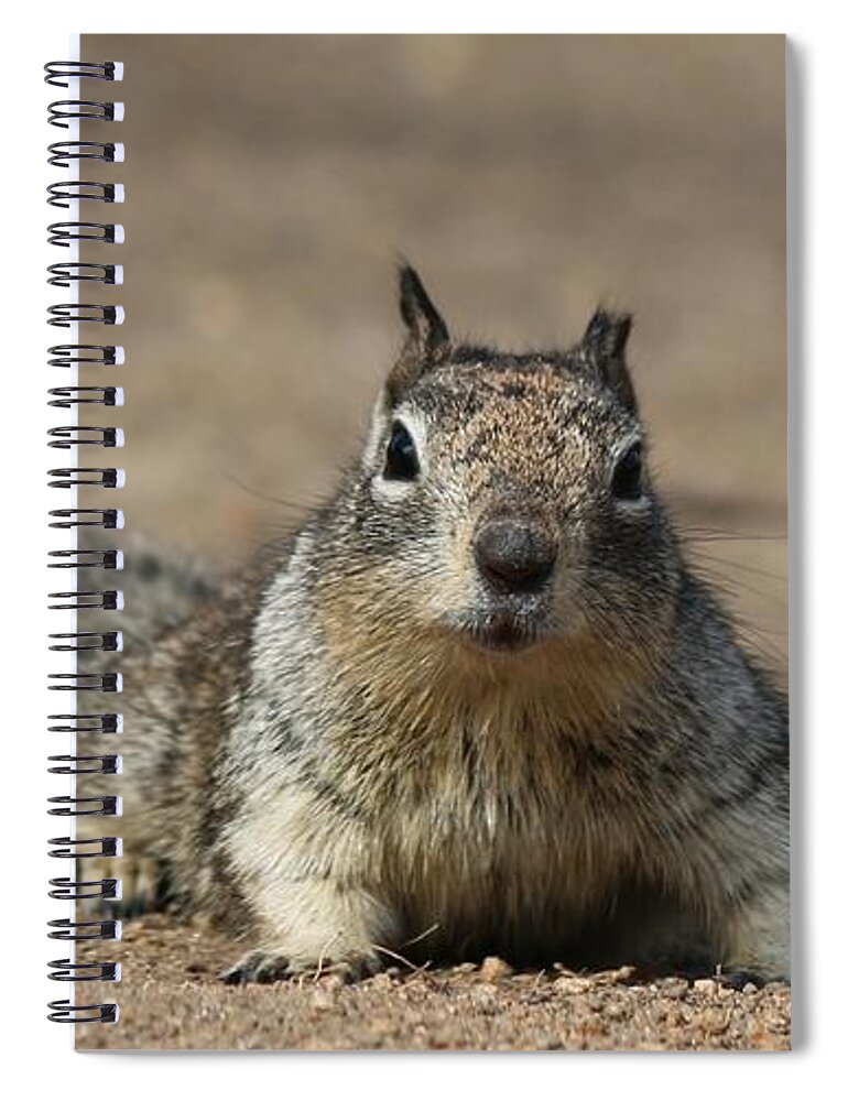 Wild Spiral Notebook featuring the photograph Army Crawl by Christy Pooschke