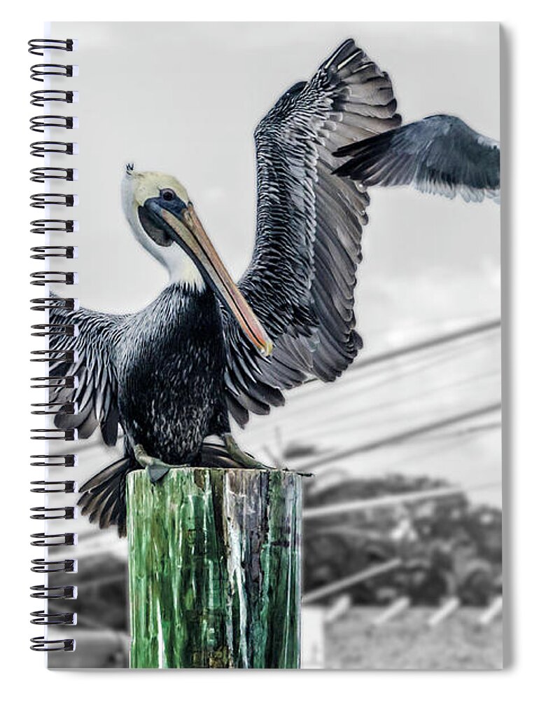 Pelican Spiral Notebook featuring the photograph Arriving at the dock by Wolfgang Stocker