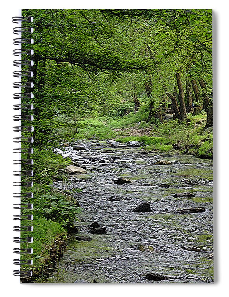 Art Spiral Notebook featuring the photograph Art in The Forest by Milena Ilieva