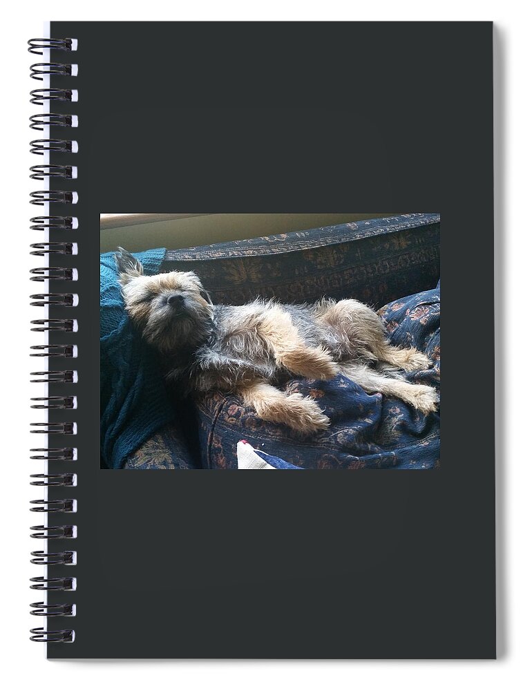 Dog Spiral Notebook featuring the photograph Art of Relaxation by Rowena Tutty