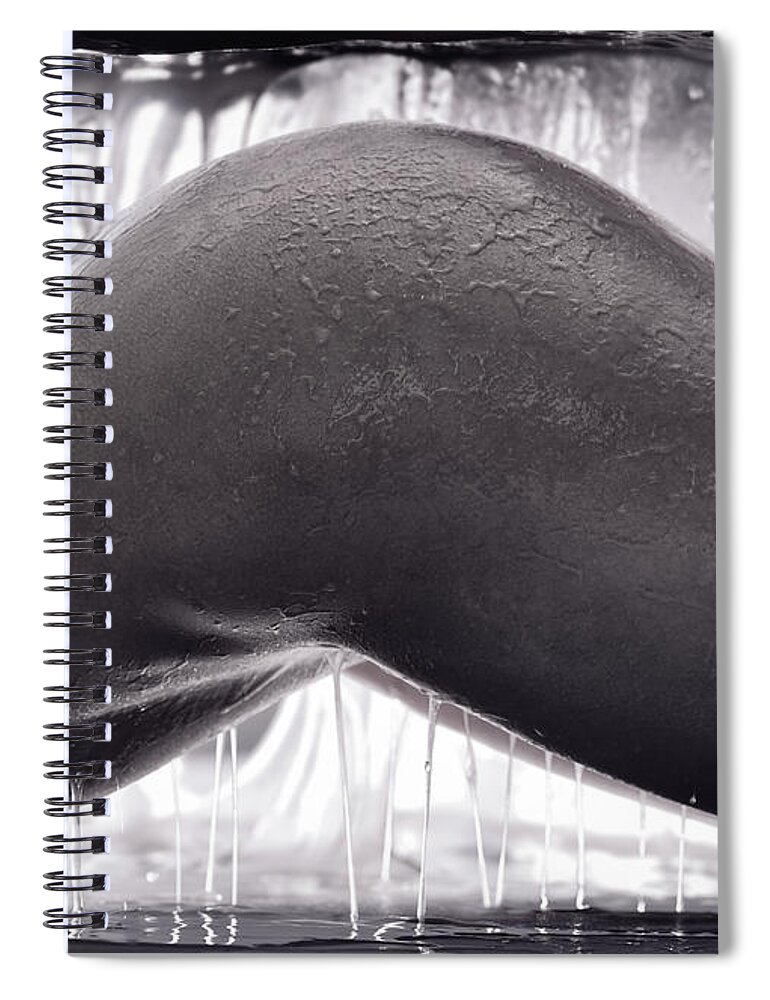 Nude Spiral Notebook featuring the photograph Artistic erotic closeup of a nude woman body covered in sticky slime by Maxim Images Exquisite Prints