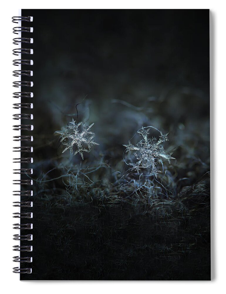 Snowflake Spiral Notebook featuring the photograph Snowflake photo - When winters meets - 2 by Alexey Kljatov