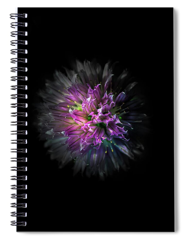 Brian Carson Spiral Notebook featuring the photograph Backyard Flowers 53 Color Version by Brian Carson