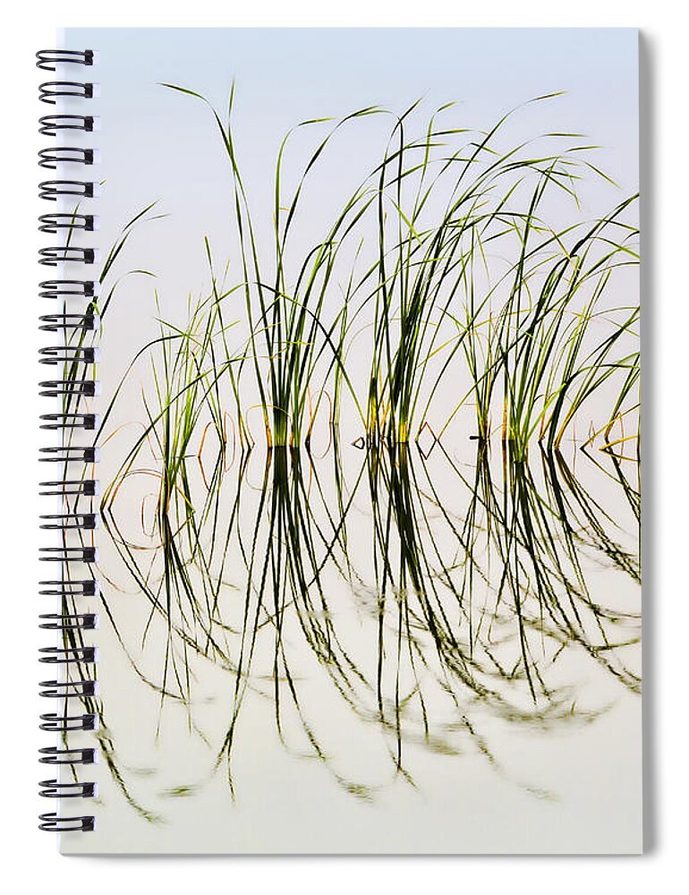 Bill Kesler Photography Spiral Notebook featuring the photograph Graceful Grass by Bill Kesler