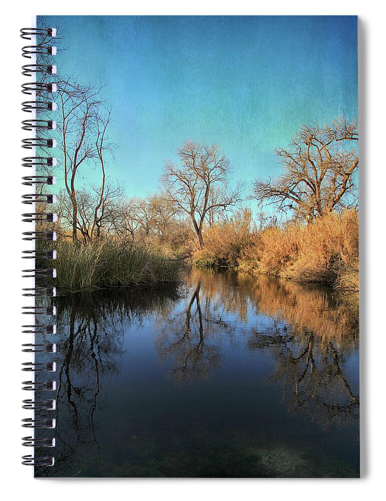 Winter Spiral Notebook featuring the photograph As We Taked About the Year by Laurie Search
