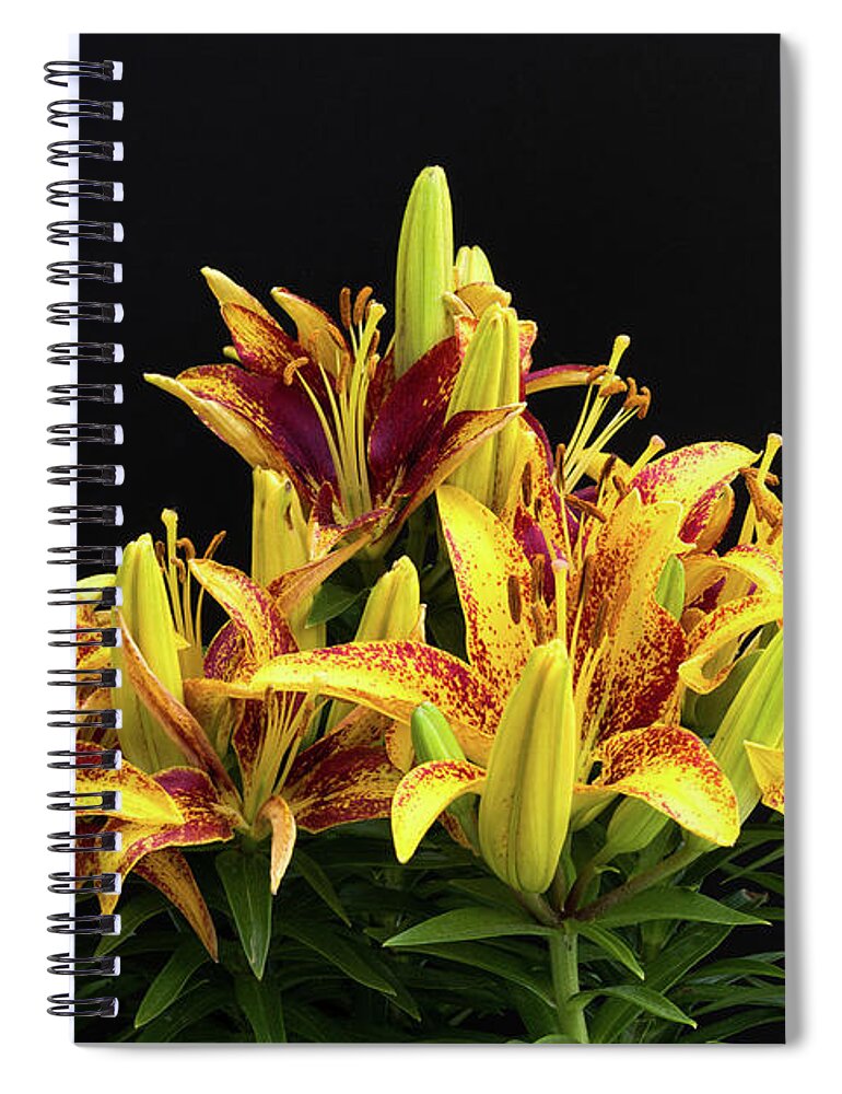 Floral Spiral Notebook featuring the photograph Asian Lilys by Thomas Whitehurst