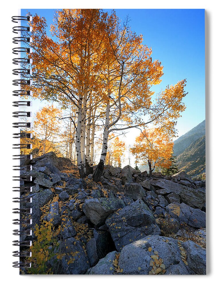 Landscape Spiral Notebook featuring the photograph Aspen Glow by Brett Pelletier