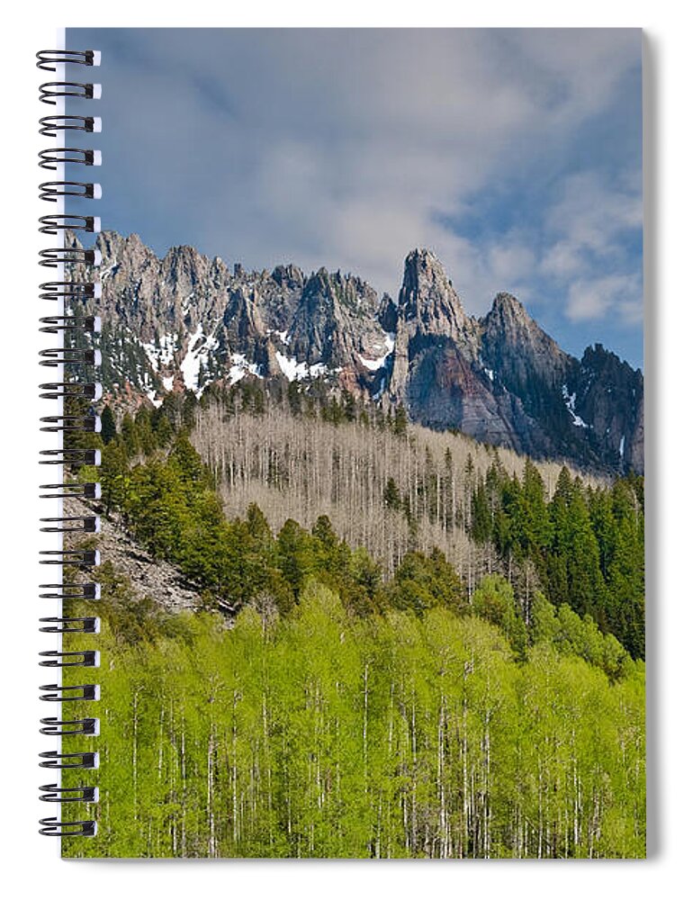 Aspen Spiral Notebook featuring the photograph Aspen Grove Below the Ophir Needles by Jeff Goulden
