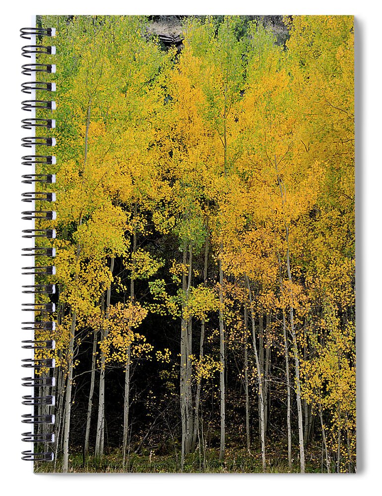 Landscape Spiral Notebook featuring the photograph Aspen Haven by Ron Cline