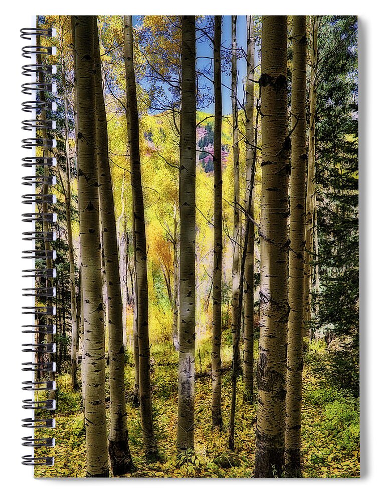 Colorful Colorado Spiral Notebook featuring the photograph Aspen Mood - Autumn - Colorful Colorado by Jason Politte