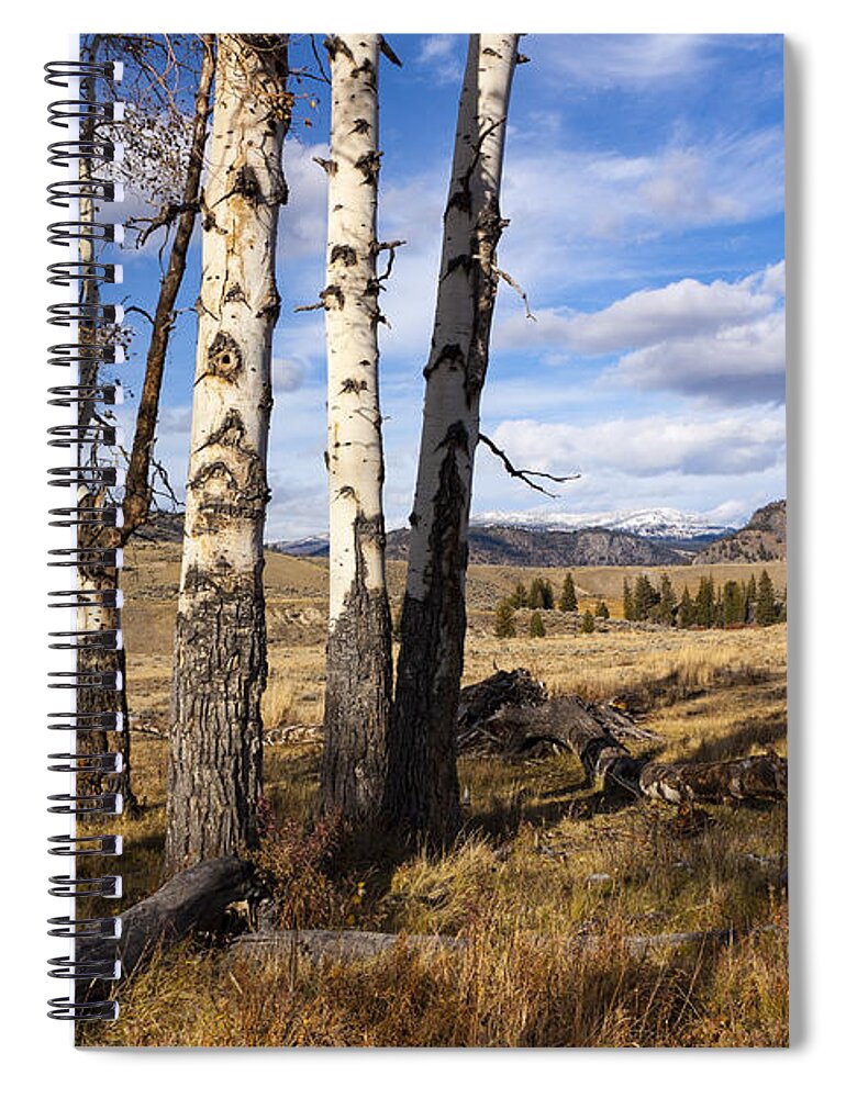National Park Spiral Notebook featuring the photograph Aspen Trees Lamar Valley by Todd Bannor