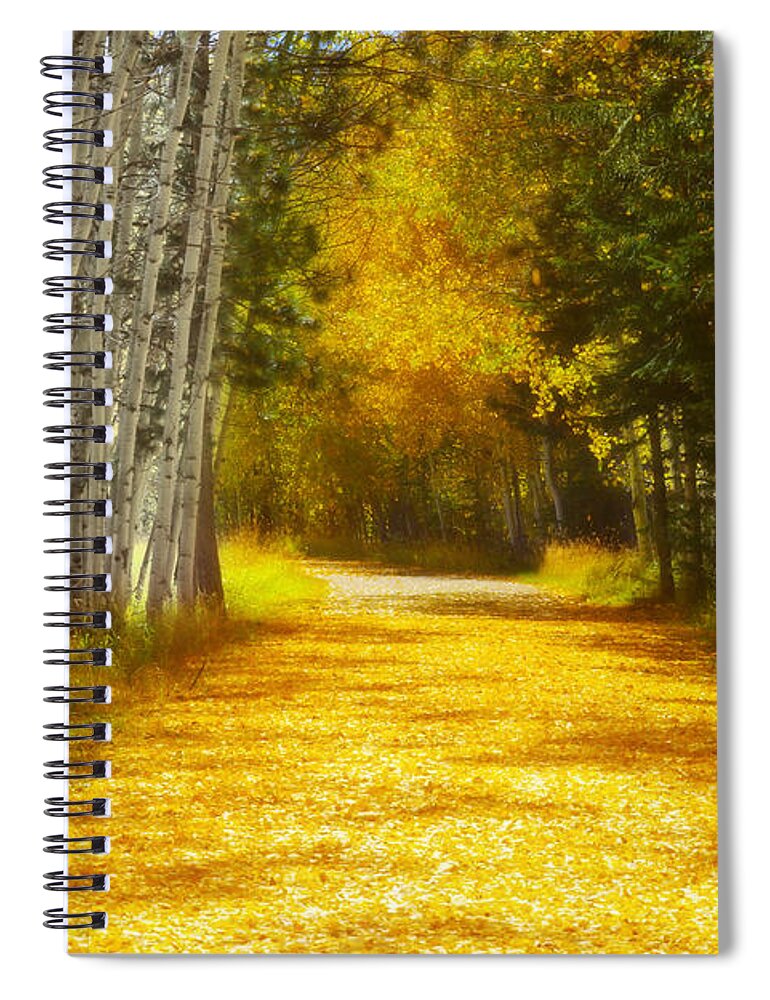 Aspens Spiral Notebook featuring the photograph Say You'll Follow Me by Amanda Smith