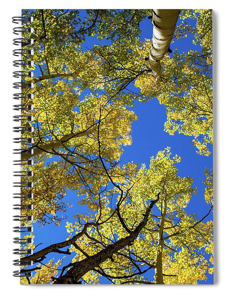Aspen Spiral Notebook featuring the photograph Aspen With Sun Burst by Stephen Holst