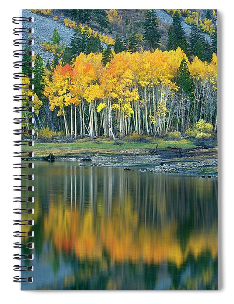Dave Welling Spiral Notebook featuring the photograph Aspens In Fall Color Along Lundy Lake Eastern Sierras California by Dave Welling