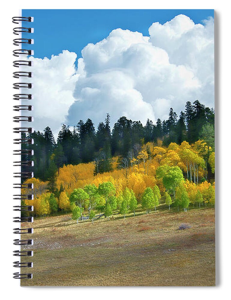 Aspen Spiral Notebook featuring the photograph Aspens in the Sun by David Arment