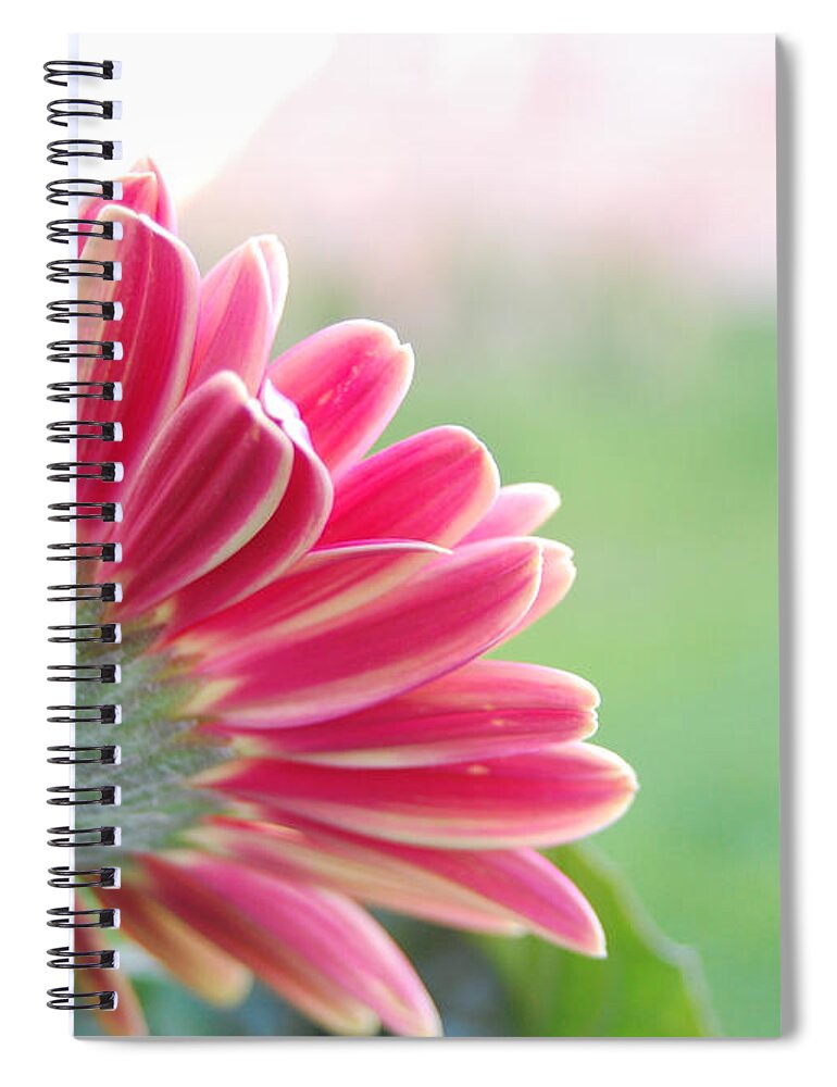 Flower Spiral Notebook featuring the photograph Aspiring by Amy Fose