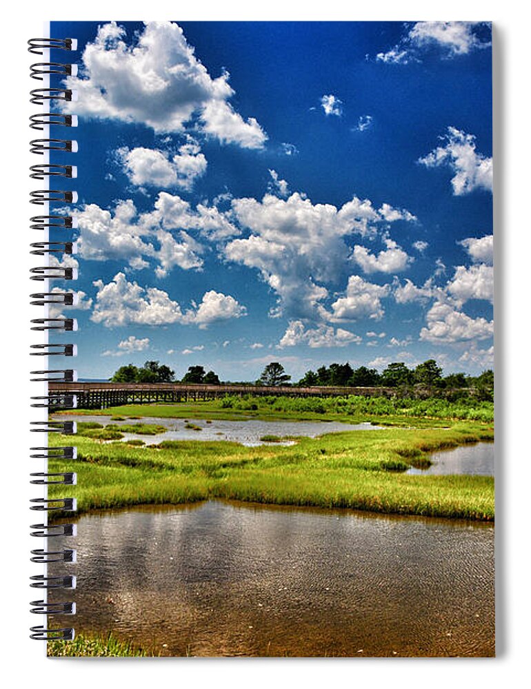 Wetlands Spiral Notebook featuring the photograph Assateague Summer by Kathi Isserman