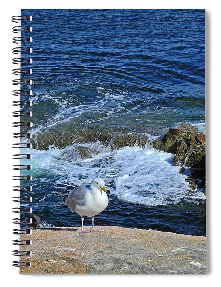 Acadia National Park Spiral Notebook featuring the photograph Astride the Vast Cliffs by Lynda Lehmann