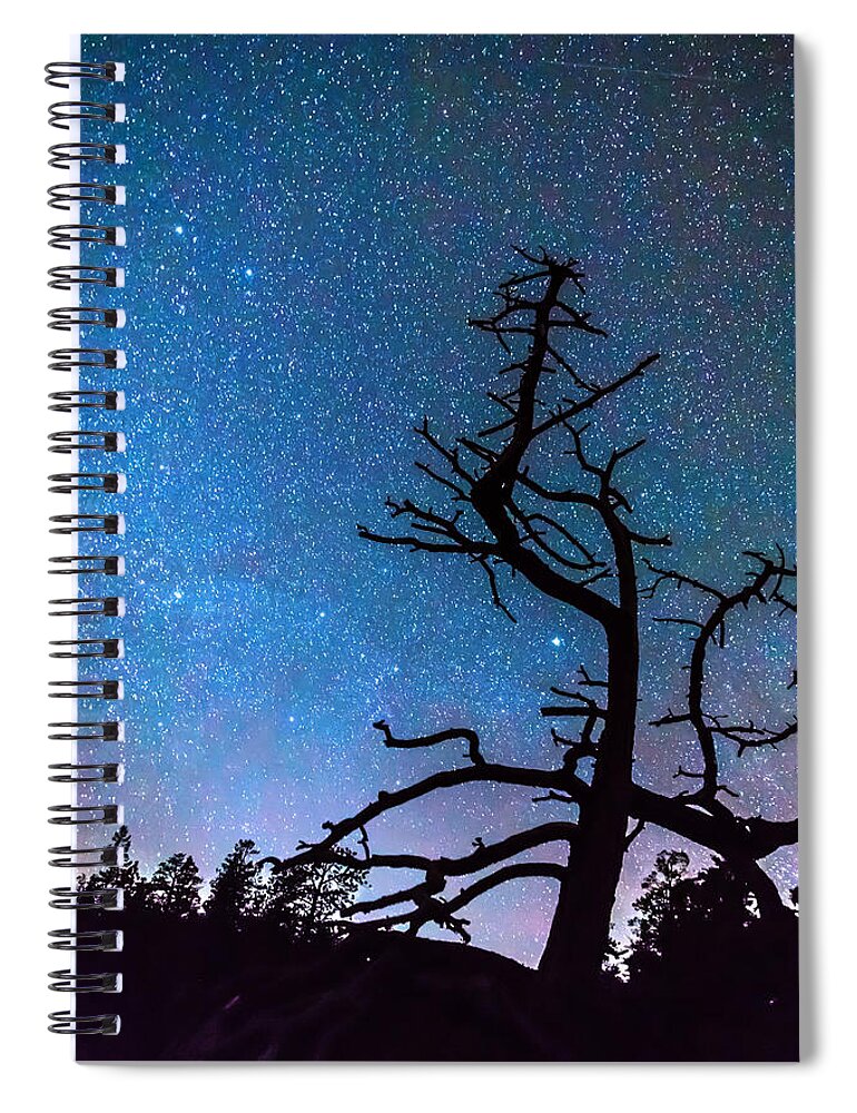 Sky Spiral Notebook featuring the photograph Astrophotography Night by James BO Insogna