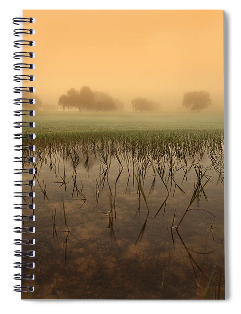 Jorgemaiaphotographer Spiral Notebook featuring the photograph At dawn by Jorge Maia
