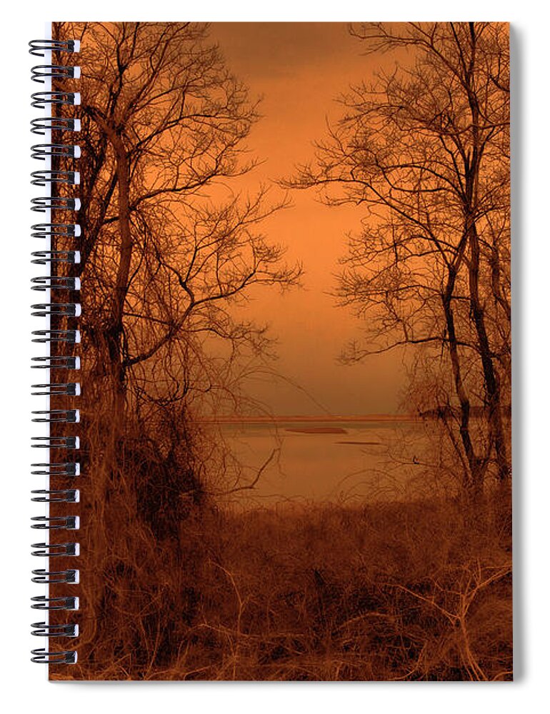 Color Sepia Spiral Notebook featuring the photograph At The Edge Of The Day by Mary Clough