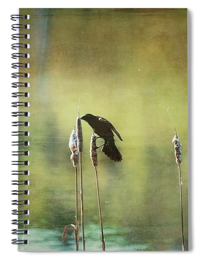 Aimelle Photography Spiral Notebook featuring the photograph At This Moment by Aimelle Ml