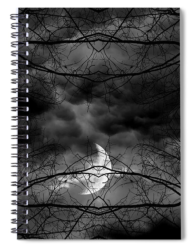 Owl Spiral Notebook featuring the photograph Athena's Bird by Lourry Legarde