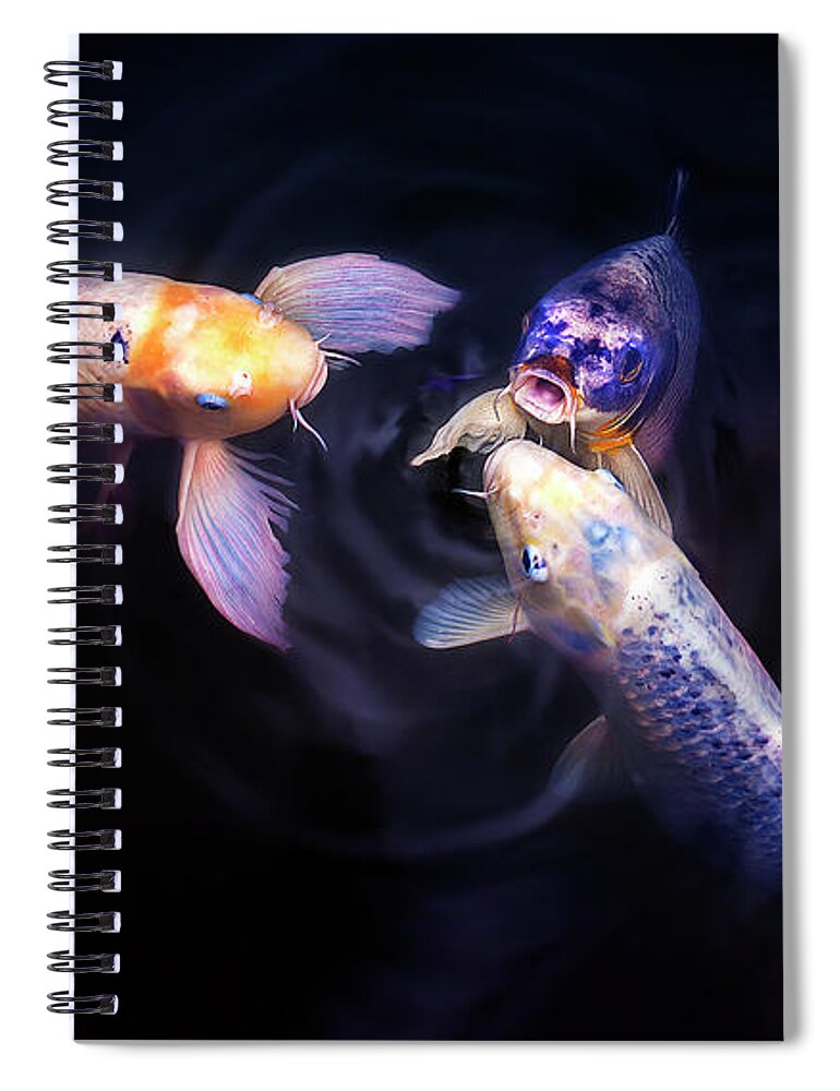 Feng Shui Spiral Notebook featuring the photograph Auspicious Three by John Poon