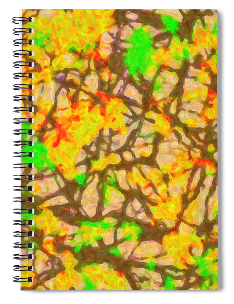 Abstract Spiral Notebook featuring the digital art Autumn Abstract by SR Green