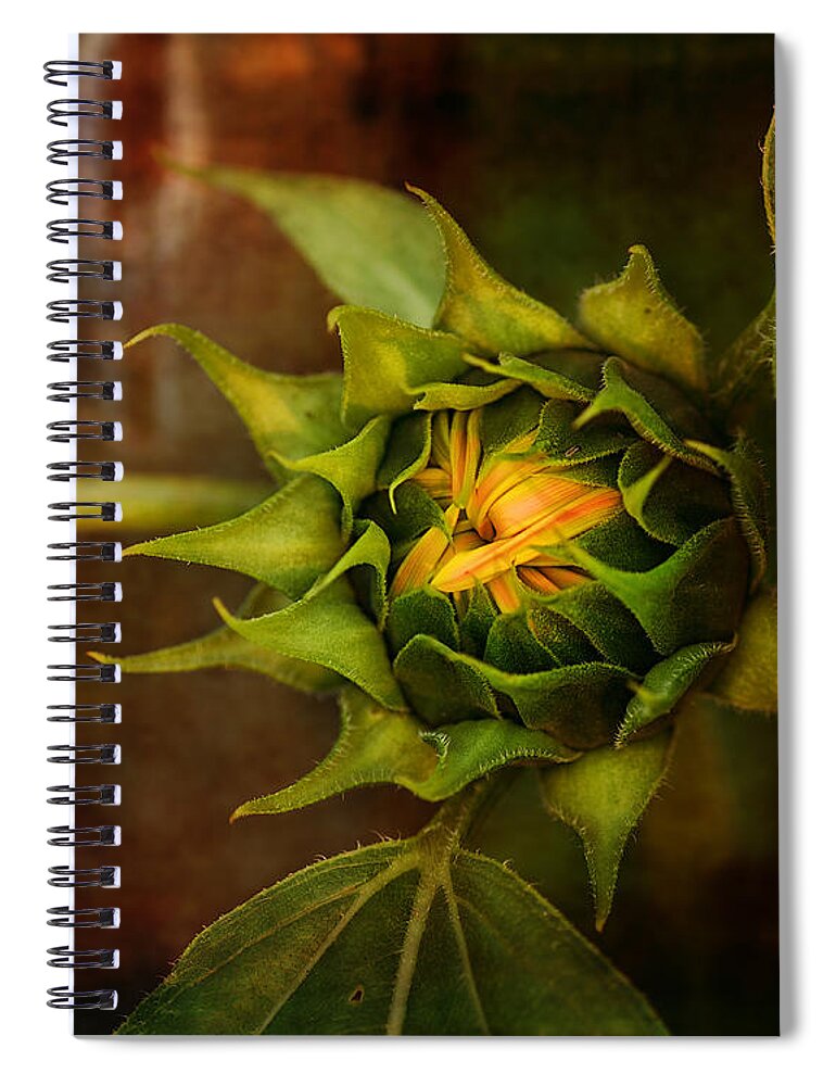 Susan Capuano Spiral Notebook featuring the photograph Autumn Bud by Sue Capuano