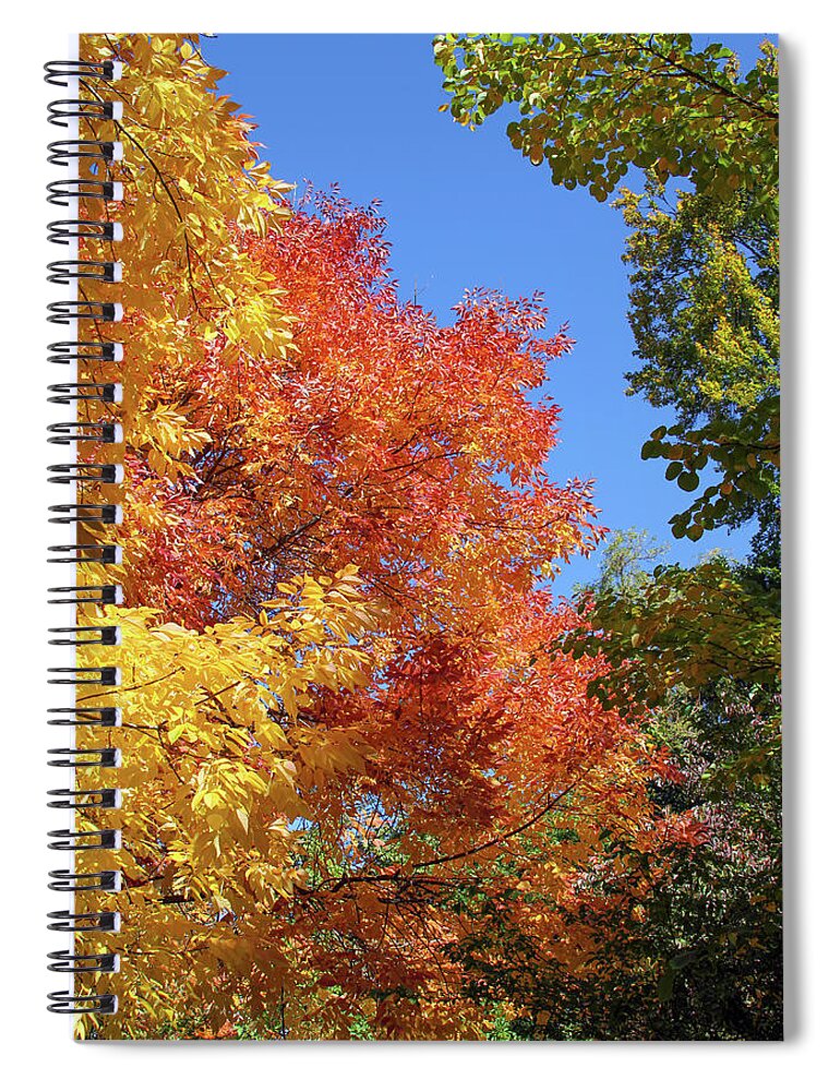 Autumn Colors Spiral Notebook featuring the photograph Autumn Colors by Bonnie Follett