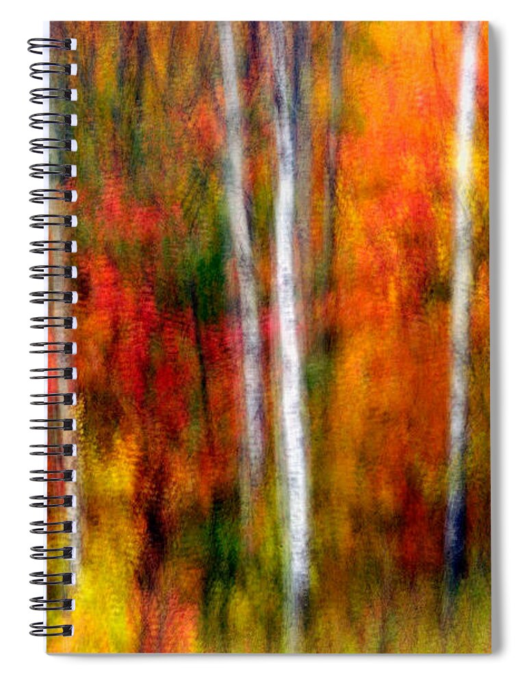 Canada Spiral Notebook featuring the photograph Autumn Dreams by Doug Gibbons