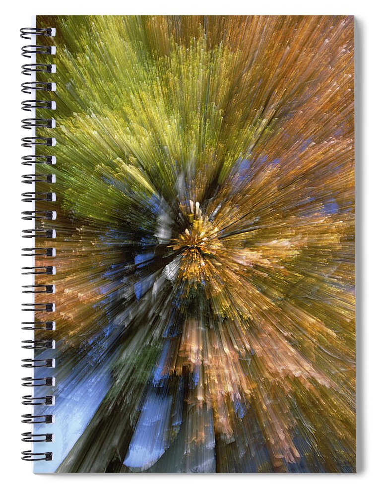 Mp Spiral Notebook featuring the photograph Autumn Foliage, Abstract by Konrad Wothe