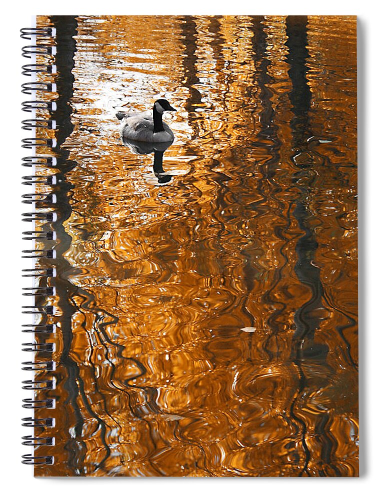 Autumn Spiral Notebook featuring the photograph Autumn Goose Reflection by Brett Pelletier