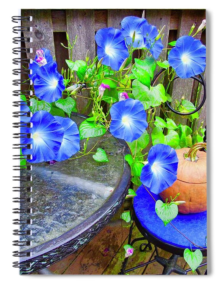 Morning Glories Spiral Notebook featuring the photograph Autumn Heavenly Blues by Nancy Patterson