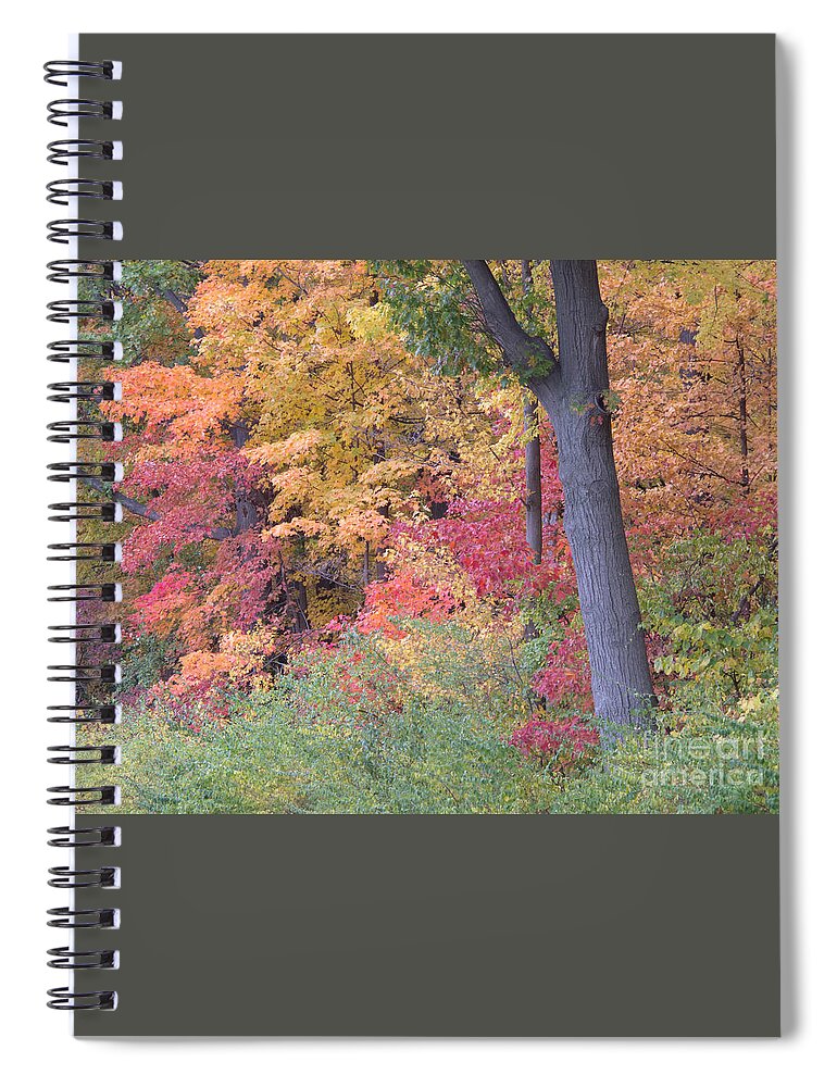 Autumn Spiral Notebook featuring the photograph Autumn Impression by Ann Horn