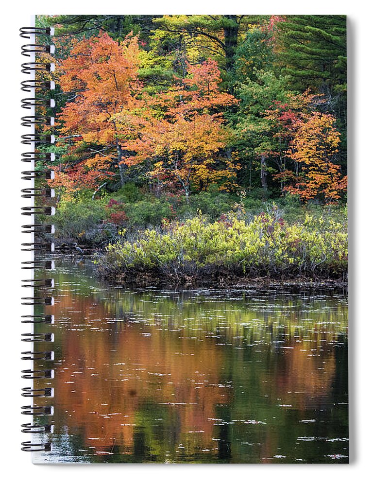 Autumn Spiral Notebook featuring the photograph Autumn Impression by John Greco