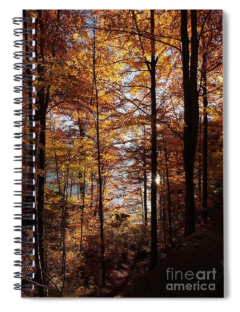 Prott Spiral Notebook featuring the photograph Autumn In The Alps 4 by Rudi Prott