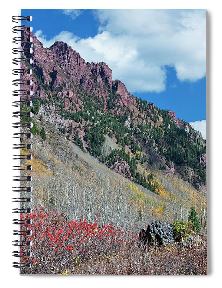 Aspen Spiral Notebook featuring the photograph Autumn in the Aspen Hills by Joan Carroll