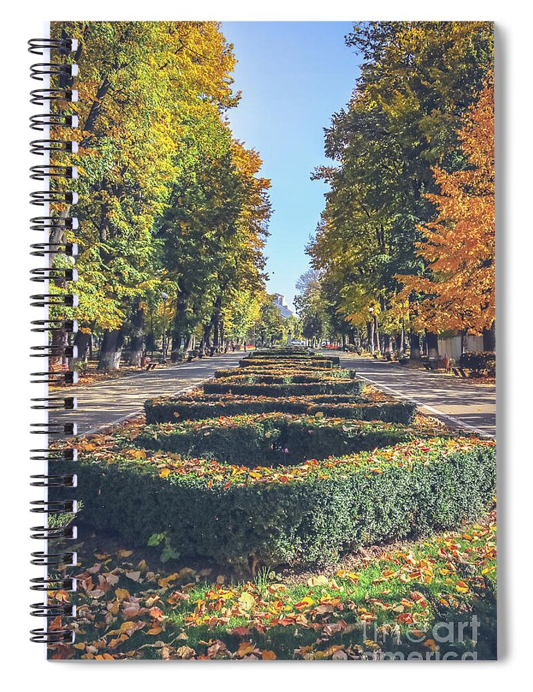 Autumn Spiral Notebook featuring the photograph Autumn in the park 1 by Claudia M Photography