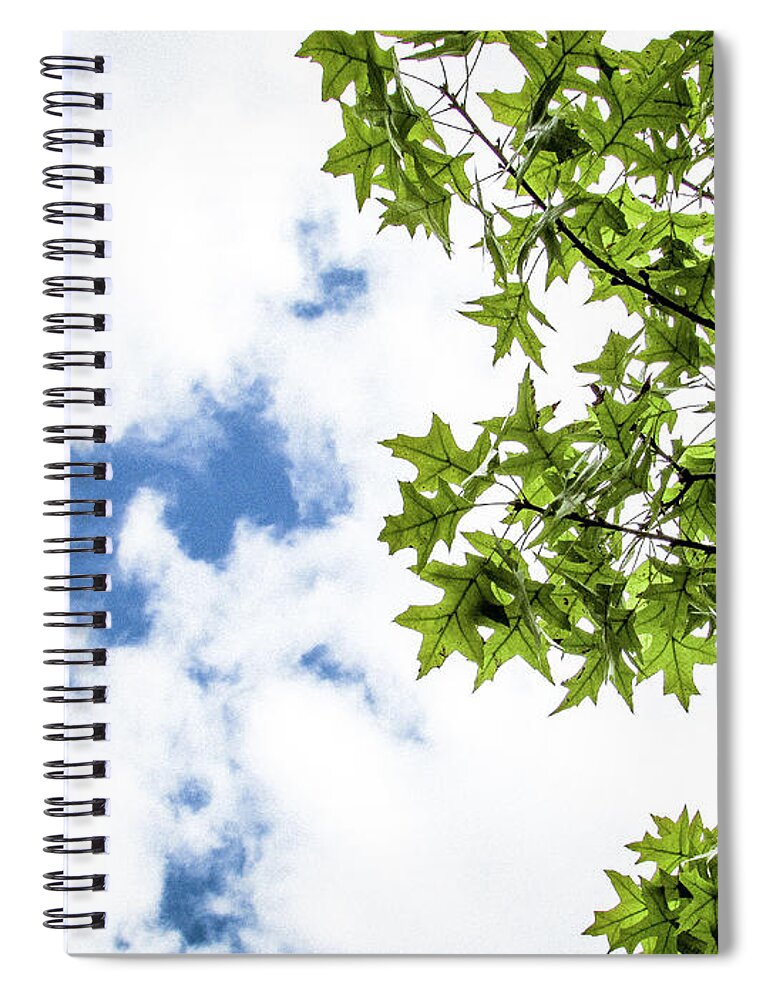 Autumn Spiral Notebook featuring the photograph Autumn is Coming by Cesar Vieira