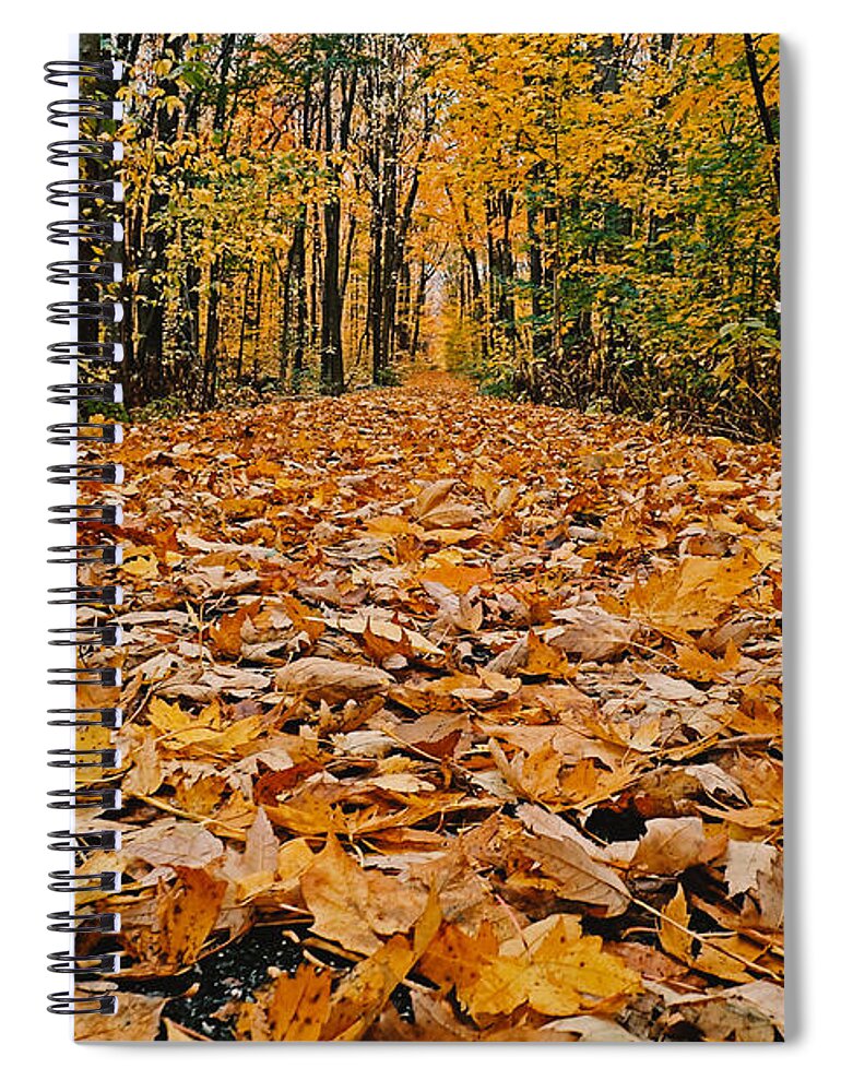 Dusk Spiral Notebook featuring the photograph Autumn leaves festival by Asbed Iskedjian