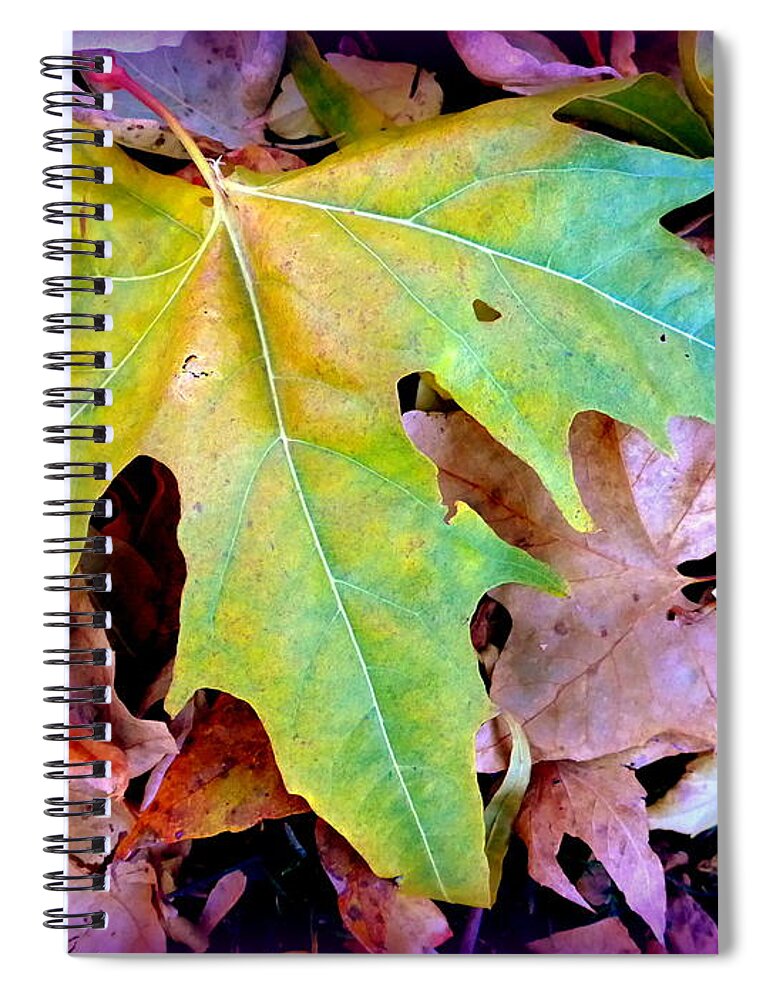 Sedona Spiral Notebook featuring the photograph Autumn Leaves Heart by Mars Besso