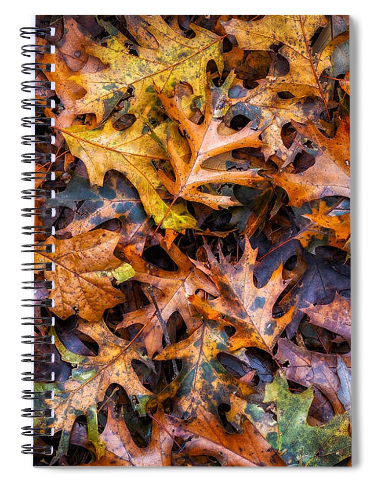 Leaves Spiral Notebook featuring the photograph Autumn Leaves by James Barber