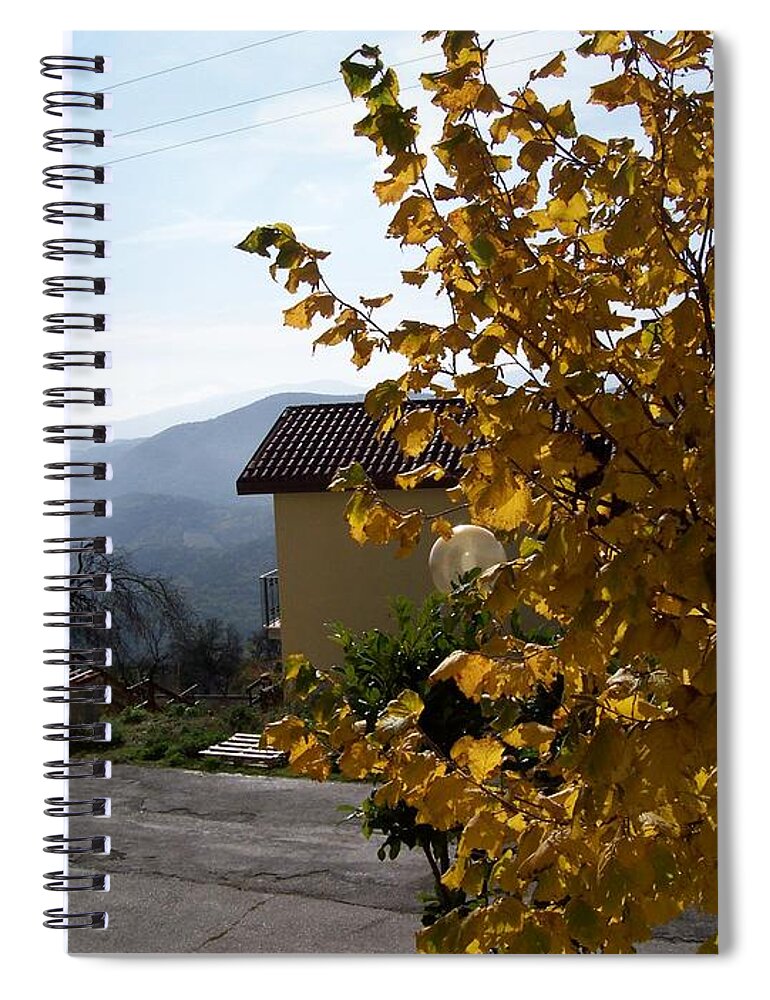 Autumn Spiral Notebook featuring the photograph Autumn Leaves by Judy Kirouac